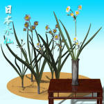 �N���b�N�Ŋg��\�� ( .jpg / 164.3KB )