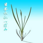 �N���b�N�Ŋg��\�� ( .jpg / 74.1KB )