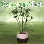 �N���b�N�Ŋg��\�� ( .jpg / 134.6KB )