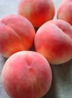 �N���b�N�Ŋg��\�� ( .jpg / 26.7KB )