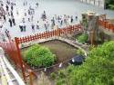 �N���b�N�Ŋg��\�� ( .jpg / 67.2KB )