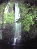 �N���b�N�Ŋg��\�� ( .jpg / 23.2KB )