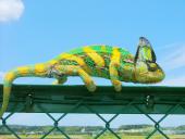 �N���b�N�Ŋg��\�� ( .jpg / 268.9KB )