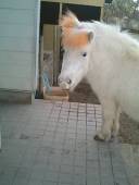 �N���b�N�Ŋg��\�� ( .jpg / 28.6KB )