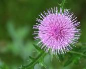 �N���b�N�Ŋg��\�� ( .jpg / 66.8KB )