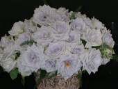 �N���b�N�Ŋg��\�� ( .jpg / 109.3KB )