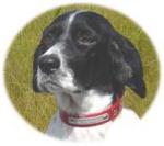 �N���b�N�Ŋg��\�� ( .jpg / 4.6KB )