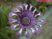 �N���b�N�Ŋg��\�� ( .jpg / 175.8KB )