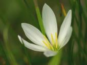 �N���b�N�Ŋg��\�� ( .jpg / 31.6KB )