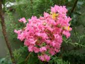 �N���b�N�Ŋg��\�� ( .jpg / 152.1KB )