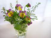 �N���b�N�Ŋg��\�� ( .jpg / 19.5KB )