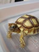 �N���b�N�Ŋg��\�� ( .jpg / 33.5KB )