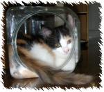 NbNŊg\ ( .jpg / 32.7KB )