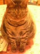 NbNŊg\ ( .jpg / 14.7KB )