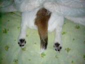 NbNŊg\ ( .jpg / 16.8KB )