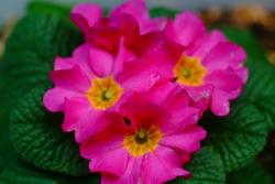 NbNŊg\ ( .jpg / 19.8KB )