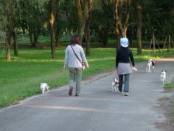 NbNŊg\ ( .jpg / 41.5KB )