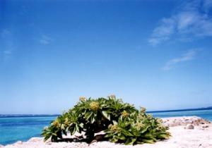 NbNŊg\ ( .jpg / 36.0KB )