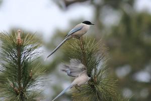 NbNŊg\ ( .jpg / 47.4KB )