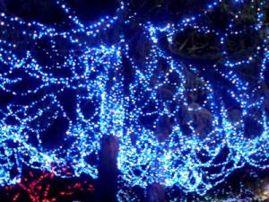 NbNŊg\ ( .jpg / 49.4KB )