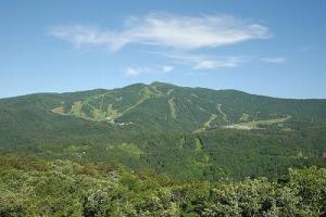 NbNŊg\ ( .jpg / 35.2KB )