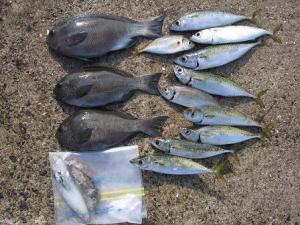 NbNŊg\ ( .jpg / 48.6KB )