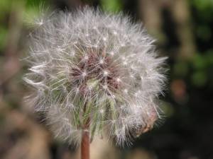 NbNŊg\ ( .jpg / 63.4KB )