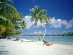 NbNŊg\ ( .jpg / 48.2KB )