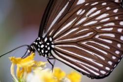 NbNŊg\ ( .jpg / 30.8KB )