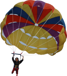 NbNŊg\ ( .gif / 76.1KB )