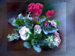 NbNŊg\ ( .jpg / 28.5KB )