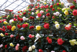 NbNŊg\ ( .gif / 56.8KB )