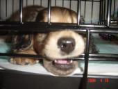 NbNŊg\ ( .jpg / 59.2KB )