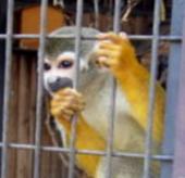 NbNŊg\ ( .jpg / 36.1KB )