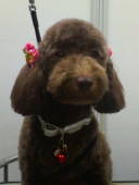 NbNŊg\ ( .jpg / 35.1KB )