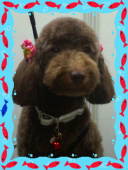 NbNŊg\ ( .jpg / 34.8KB )