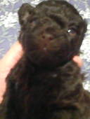 NbNŊg\ ( .jpg / 27.5KB )