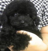 NbNŊg\ ( .jpg / 15.6KB )