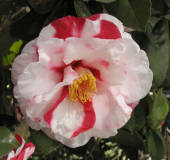 NbNŊg\ ( .jpg / 64.8KB )