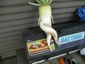 �N���b�N�Ŋg��\�� ( .jpg / 23.7KB )