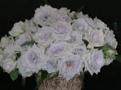 �N���b�N�Ŋg��\�� ( .jpg / 94.9KB )