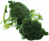 NbNŊg\ ( .gif / 41.9KB )