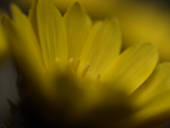 NbNŊg\ ( .jpg / 39.8KB )