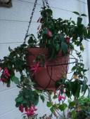 �N���b�N�Ŋg��\�� ( .jpg / 60.7KB )