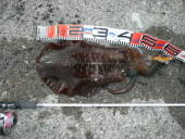 NbNŊg\ ( .jpg / 54.1KB )