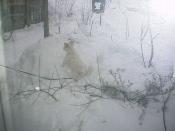 NbNŊg\ ( .jpg / 40.0KB )