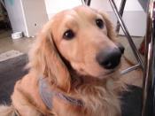 NbNŊg\ ( .jpg / 57.8KB )