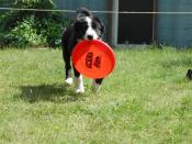 NbNŊg\ ( .jpg / 85.4KB )