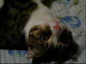 NbNŊg\ ( .jpg / 20.4KB )