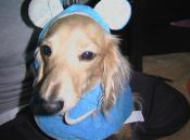 NbNŊg\ ( .jpg / 26.3KB )